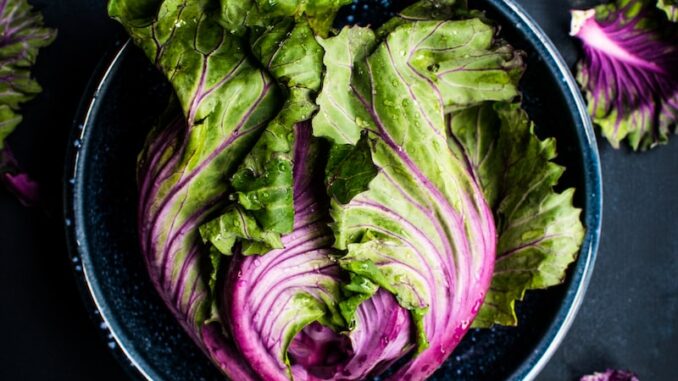uploaded-image-vegan-ve-vejetaryen-yemekli-paketler-1697899848362